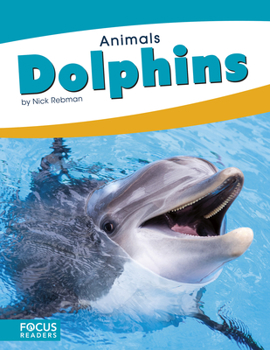 Paperback Dolphins Book