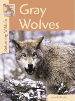 Hardcover Returning Wildlife: Gray Wolves Book