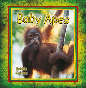 Library Binding Baby Apes Book