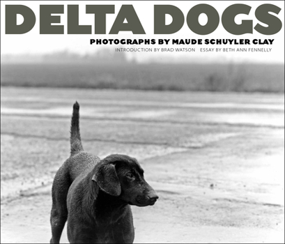 Hardcover Delta Dogs Book