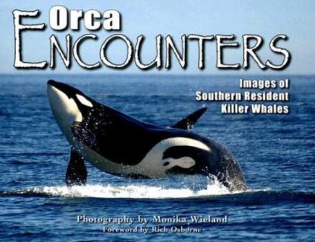 Paperback Orca Encounters: Images of Southern Resident Killer Whales Book