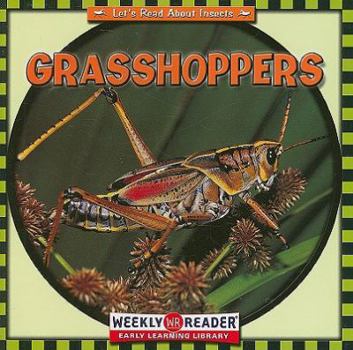 Paperback Grasshoppers Book
