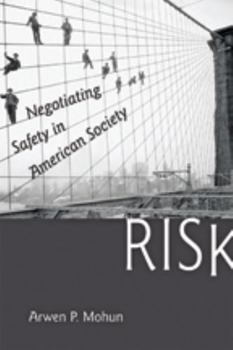 Hardcover Risk: Negotiating Safety in American Society Book