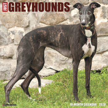 Calendar Just Greyhounds 2020 Wall Calendar (Dog Breed Calendar) Book