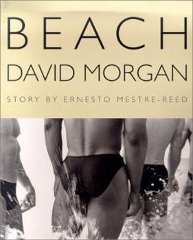 Hardcover The Beach Book