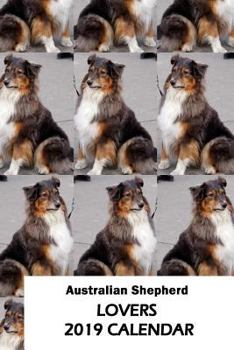 Paperback Australian Shepherd Lovers 2019 Calendar Book