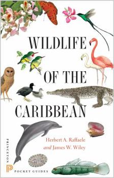 Paperback Wildlife of the Caribbean Book