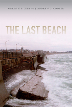 Hardcover The Last Beach Book