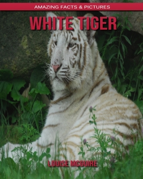 White Tiger: Amazing Facts & Pictures