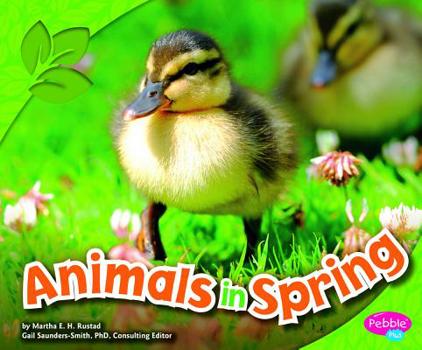 Hardcover Animals in Spring Book