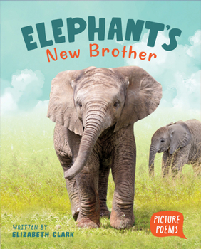 Elephant's New Brother
