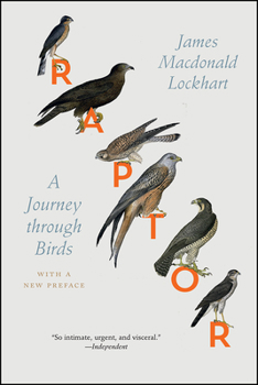 Hardcover Raptor: A Journey Through Birds Book
