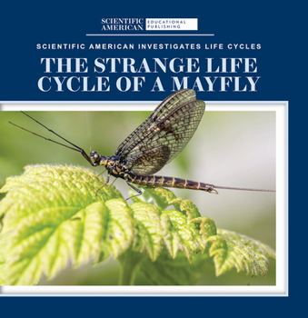 Library Binding The Strange Life Cycle of a Mayfly Book