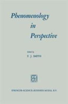 Hardcover Phenomenology in Perspective Book