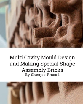 Paperback Multi Cavity Mould Design and Making Special Shape Assembly Bricks Book