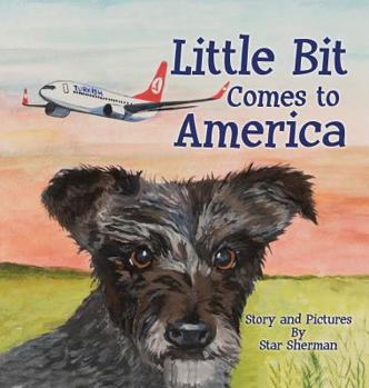 Hardcover Little Bit Comes to America Book