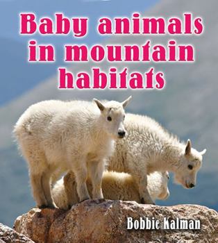 Paperback Baby Animals in Mountain Habitats Book