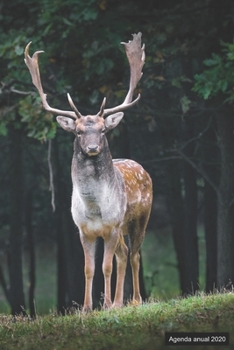 Agenda anual 2020: Agenda anual para 2020, 12 meses, agenda de 52 semanas con tareas y metas; formato pr�ctico 6x9; motivo: Hirsch