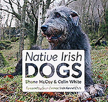 Paperback Native Irish Dogs Book
