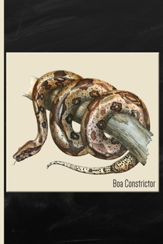 Snake : Boa Constrictor Watercolor: 6x9 College Ruled Notebook