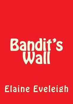 Paperback Bandit's Wall Book