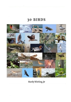 Paperback 30 Birds Book