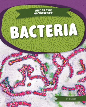 Bacteria