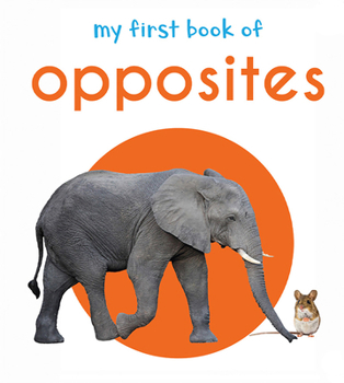 Board book My First Book of Opposites Book