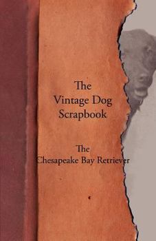 Paperback The Vintage Dog Scrapbook - The Chesapeake Bay Retriever Book