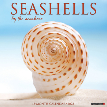 Calendar Seashells 2023 Wall Calendar Book