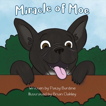 Hardcover Miracle of Moe Book