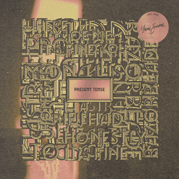 Vinyl Present Tense Book
