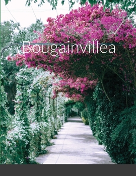 Paperback Bougainvillea Book