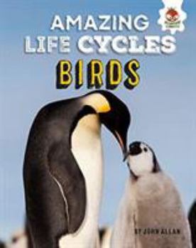 Paperback Birds - Amazing Life Cycles Book