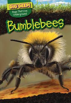 Paperback Bumblebees Book