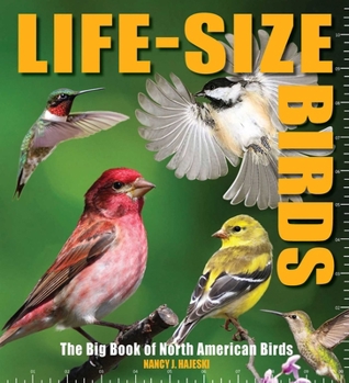 Hardcover Life-Size Birds: The Big Book of North American Birds Book