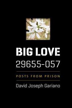 Paperback Big Love, 29655-057: Posts from Prison Book