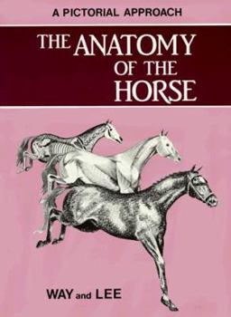Paperback The Anatomy of the Horse: A Pictorial Approach Book
