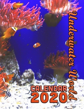 Paperback Underwater World Calendar 2020: 14 Month Desk Calendar Showing the Beauty of the Deep Book