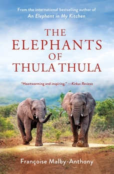 Paperback The Elephants of Thula Thula Book