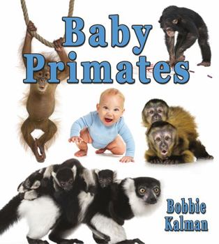 Hardcover Baby Primates Book