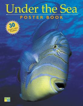 Paperback Under the Sea Poster Book