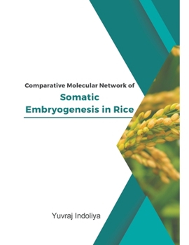 Paperback Comparative Molecular Network of Somatic Embryogenesis in Rice Book