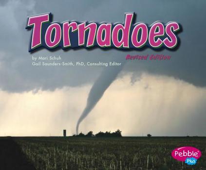 Paperback Tornadoes Book