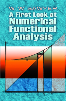 Paperback A First Look at Numerical Functional Analysis Book