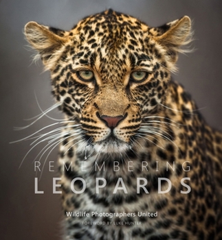 Hardcover Remembering Leopards Book