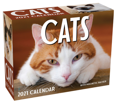 Calendar Cats 2021 Mini Day-To-Day Calendar Book