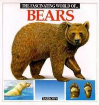 Paperback The Fascinating World of Bears Book