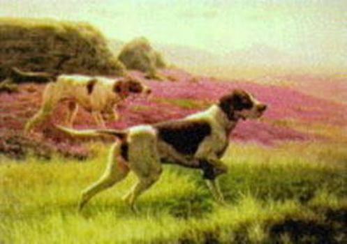 Dogs in Words and Pictures