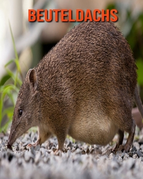 Paperback Beuteldachs: Sch?ne Bilder & Kinderbuch mit interessanten Fakten ?ber Beuteldachs [German] Book